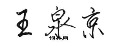 駱恆光王泉京行書個性簽名怎么寫