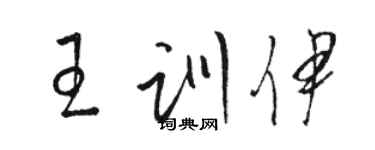 駱恆光王訓伊草書個性簽名怎么寫