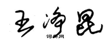 朱錫榮王淨昆草書個性簽名怎么寫