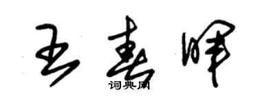 朱錫榮王春暉草書個性簽名怎么寫