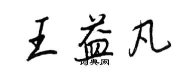 王正良王益凡行書個性簽名怎么寫