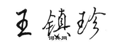 駱恆光王鎮珍行書個性簽名怎么寫