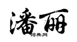 胡問遂潘麗行書個性簽名怎么寫
