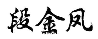 胡問遂段金鳳行書個性簽名怎么寫