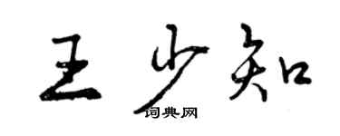 曾慶福王少知行書個性簽名怎么寫