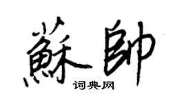 王正良蘇帥行書個性簽名怎么寫