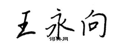 王正良王永向行書個性簽名怎么寫