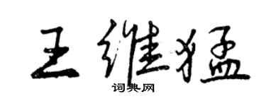 曾慶福王維猛行書個性簽名怎么寫