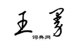 梁錦英王曼草書個性簽名怎么寫
