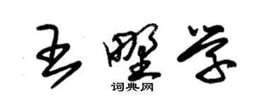 朱錫榮王野學草書個性簽名怎么寫