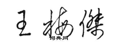 駱恆光王梅傑草書個性簽名怎么寫