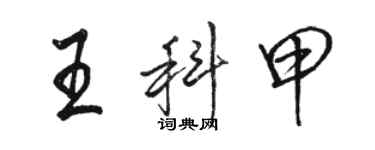 駱恆光王科甲行書個性簽名怎么寫