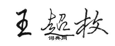 駱恆光王超枚行書個性簽名怎么寫