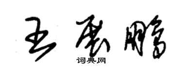 朱錫榮王展鵬草書個性簽名怎么寫