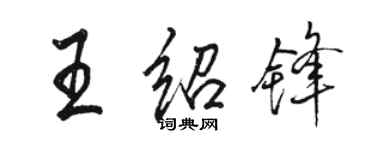 駱恆光王紹鋒行書個性簽名怎么寫