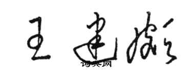 駱恆光王建頗草書個性簽名怎么寫