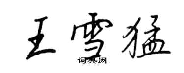 王正良王雪猛行書個性簽名怎么寫