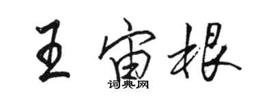 駱恆光王宙根行書個性簽名怎么寫