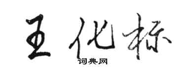 駱恆光王化標行書個性簽名怎么寫