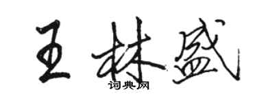 駱恆光王林盛行書個性簽名怎么寫