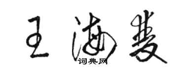 駱恆光王海雙草書個性簽名怎么寫