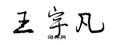 曾慶福王宇凡行書個性簽名怎么寫