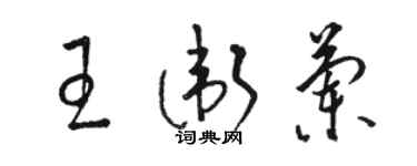駱恆光王衛蘭草書個性簽名怎么寫
