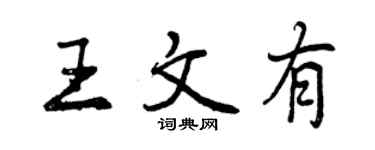 曾慶福王文有行書個性簽名怎么寫