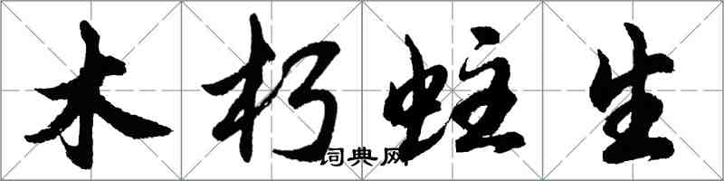 胡問遂木朽蛀生行書怎么寫