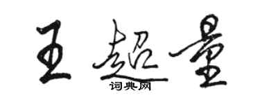 駱恆光王超量行書個性簽名怎么寫
