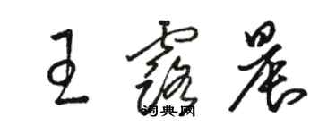 駱恆光王露晨草書個性簽名怎么寫