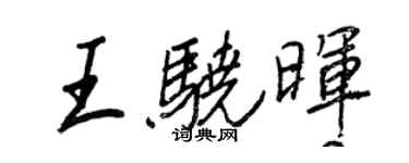 王正良王驍暉行書個性簽名怎么寫