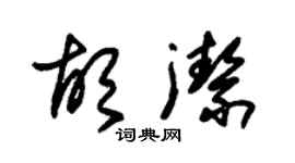 朱錫榮胡潔草書個性簽名怎么寫