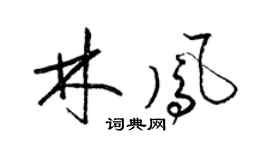 梁錦英林鳳草書個性簽名怎么寫