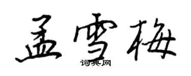 王正良孟雪梅行書個性簽名怎么寫