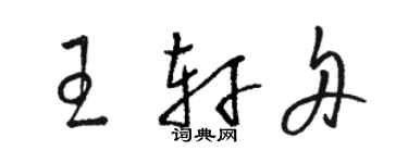 駱恆光王軒舟草書個性簽名怎么寫