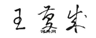 駱恆光王慶成草書個性簽名怎么寫