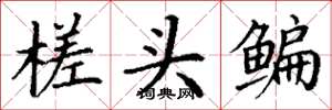 丁謙槎頭鯿楷書怎么寫