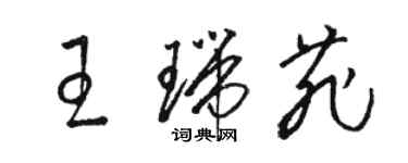 駱恆光王瑞菲草書個性簽名怎么寫