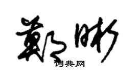 朱錫榮鄭晰草書個性簽名怎么寫