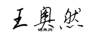 王正良王奧然行書個性簽名怎么寫