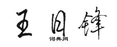 駱恆光王日鋒行書個性簽名怎么寫