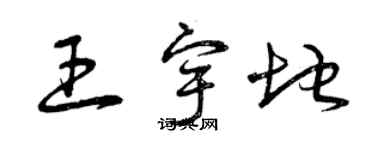 曾慶福王宇地草書個性簽名怎么寫