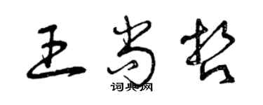 曾慶福王尚哲草書個性簽名怎么寫