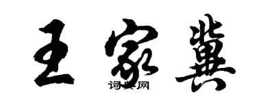 胡問遂王家冀行書個性簽名怎么寫