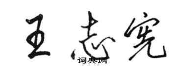 駱恆光王志憲行書個性簽名怎么寫