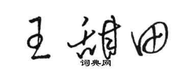 駱恆光王甜田草書個性簽名怎么寫