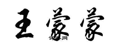 胡問遂王蒙蒙行書個性簽名怎么寫