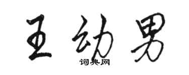 駱恆光王幼男行書個性簽名怎么寫