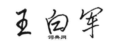 駱恆光王白軍行書個性簽名怎么寫